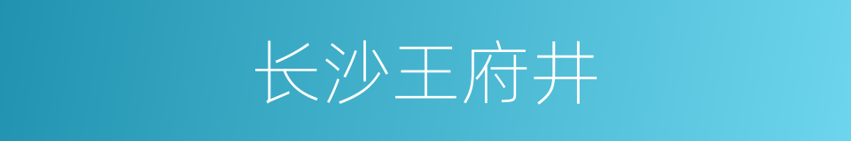 长沙王府井的同义词