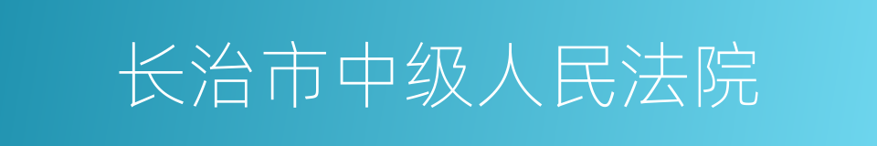 长治市中级人民法院的同义词