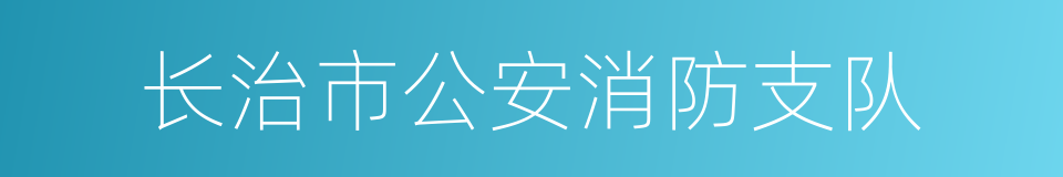 长治市公安消防支队的同义词