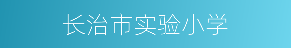 长治市实验小学的同义词