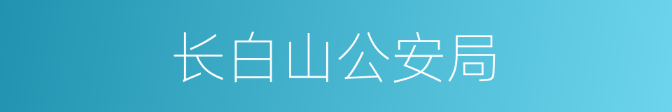 长白山公安局的同义词