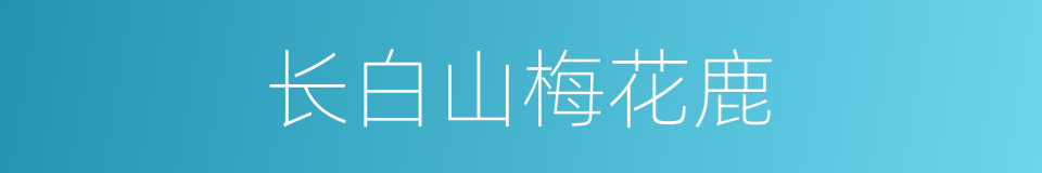 长白山梅花鹿的同义词