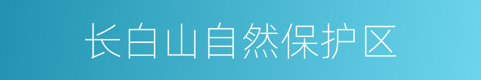 长白山自然保护区的同义词