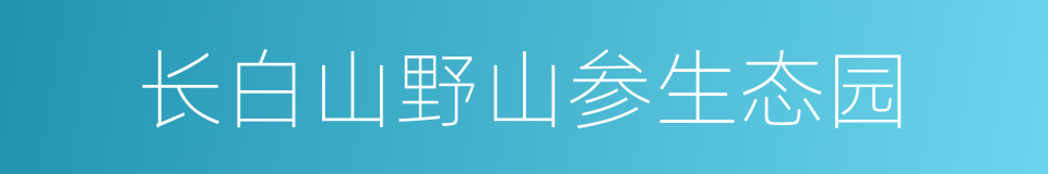 长白山野山参生态园的同义词