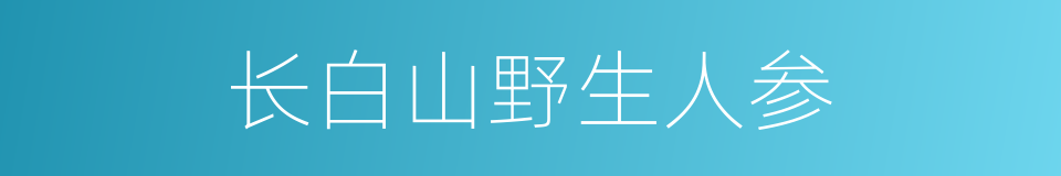 长白山野生人参的同义词