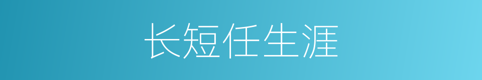 长短任生涯的同义词