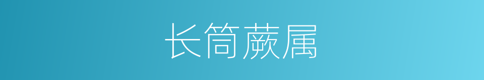 长筒蕨属的同义词