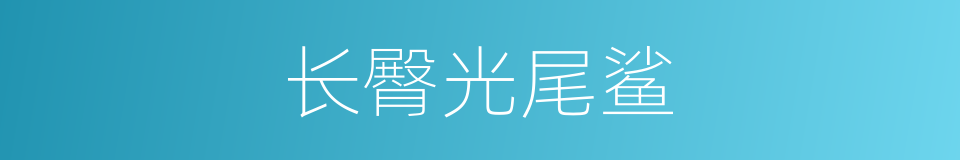 长臀光尾鲨的同义词