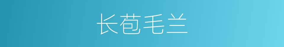 长苞毛兰的同义词