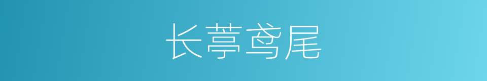长葶鸢尾的同义词