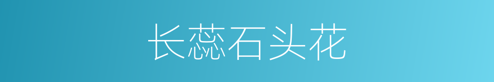 长蕊石头花的同义词