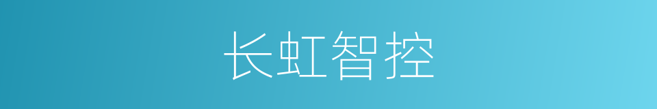 长虹智控的同义词