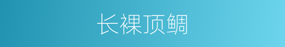 长裸顶鲷的同义词