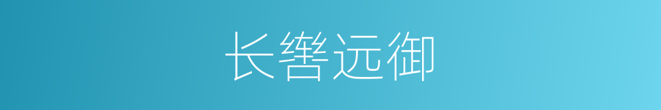 长辔远御的同义词