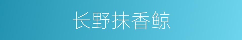 长野抹香鲸的意思