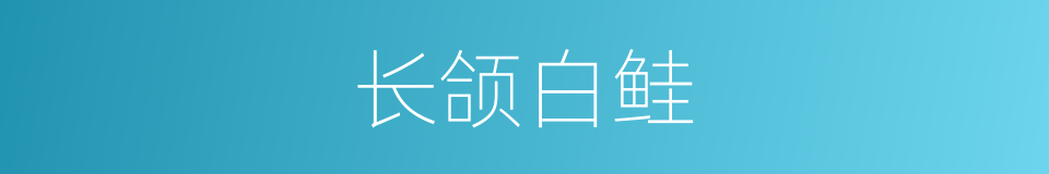 长颌白鲑的同义词