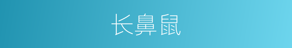 长鼻鼠的同义词