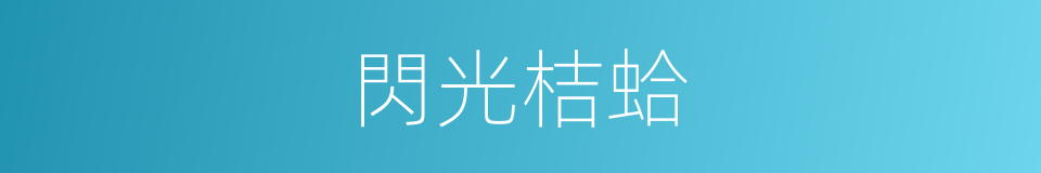閃光桔蛤的同義詞