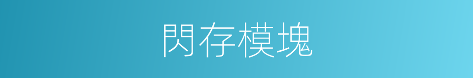 閃存模塊的同義詞