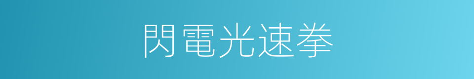 閃電光速拳的同義詞