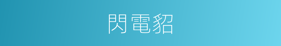 閃電貂的同義詞