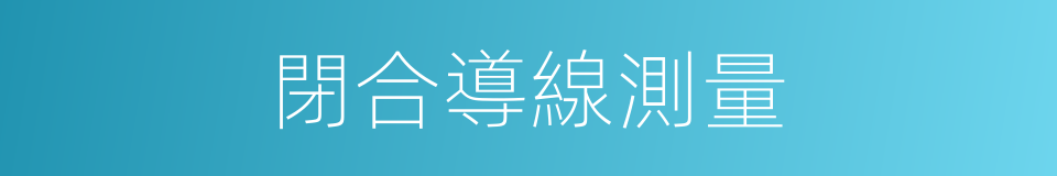 閉合導線測量的同義詞