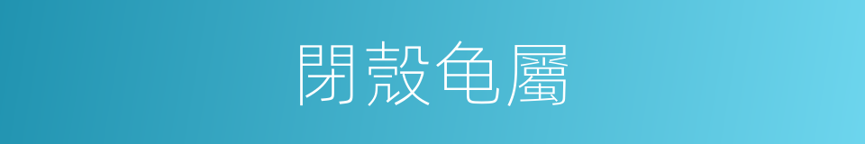 閉殼龟屬的同義詞