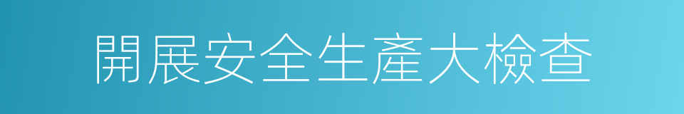 開展安全生產大檢查的同義詞