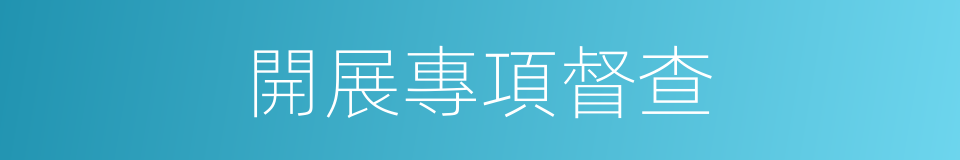 開展專項督查的同義詞