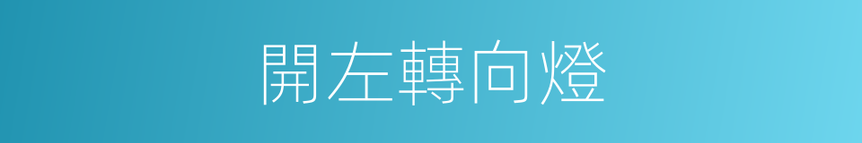 開左轉向燈的同義詞