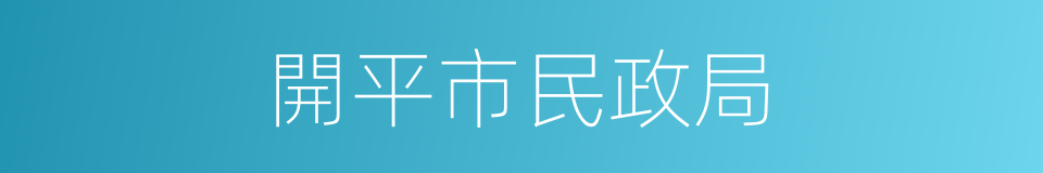 開平市民政局的同義詞