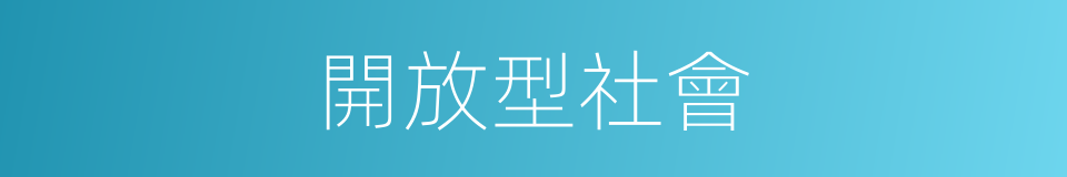 開放型社會的同義詞