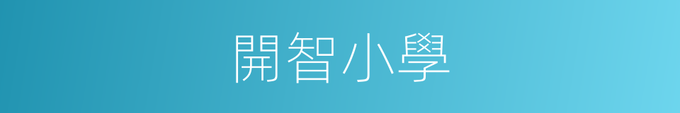 開智小學的同義詞