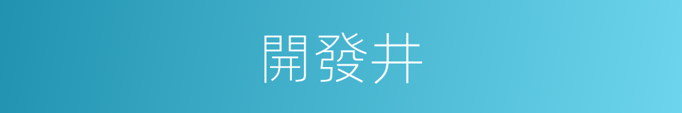 開發井的同義詞