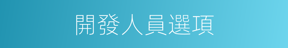 開發人員選項的同義詞
