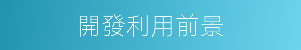 開發利用前景的同義詞