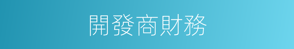 開發商財務的同義詞