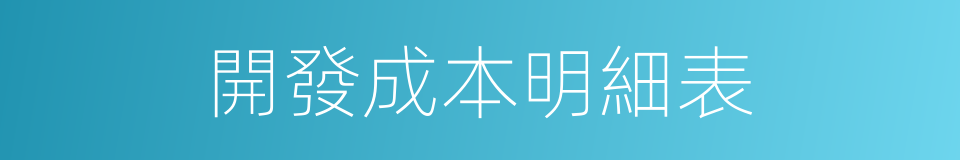 開發成本明細表的同義詞