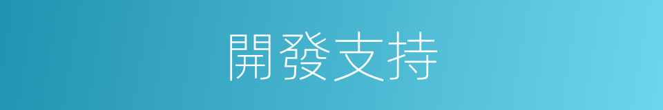 開發支持的同義詞