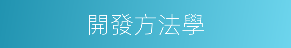 開發方法學的同義詞