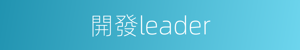 開發leader的同義詞