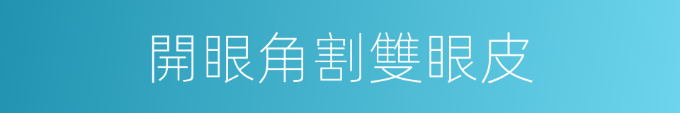 開眼角割雙眼皮的同義詞