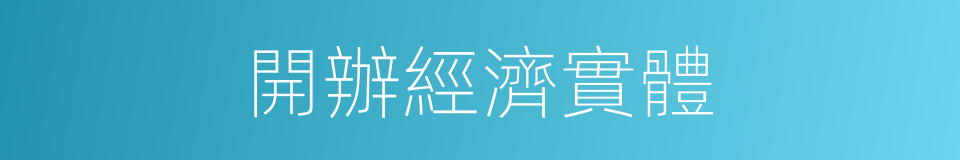 開辦經濟實體的同義詞