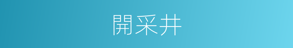 開采井的同義詞