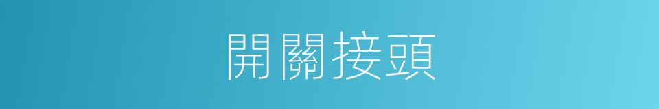 開關接頭的同義詞