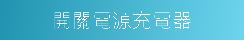 開關電源充電器的同義詞