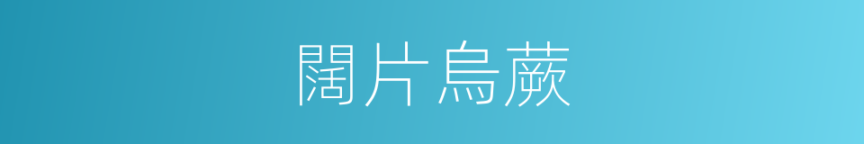 闊片烏蕨的同義詞