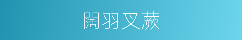 闊羽叉蕨的同義詞