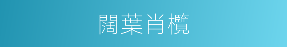 闊葉肖欖的同義詞