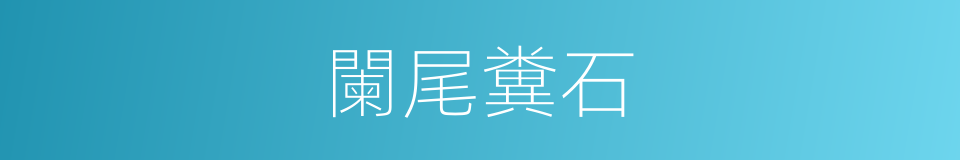 闌尾糞石的同義詞